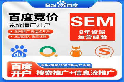 行业领先！专业SEM托管的成功实践案例
